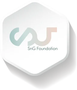WellForm Triangle InfoChart Icon 2024 SnG Logo Symbol 257x300 1
